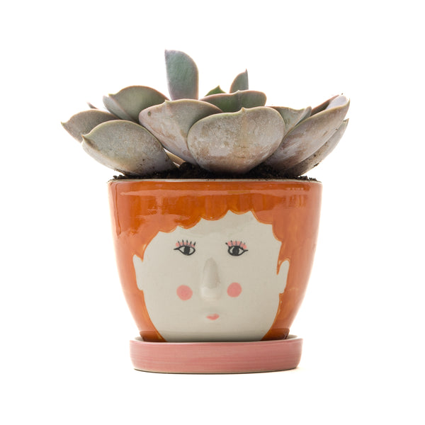Red-Haired Lady Succulent & Planter