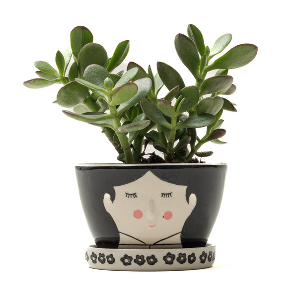 Dark-Haired Lady Succulent & Planter