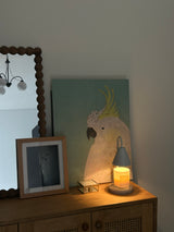 Candle Warmer